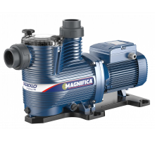 Насос Pedrollo MAGNIFICA 2m