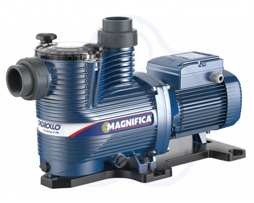 Насос Pedrollo MAGNIFICA 2